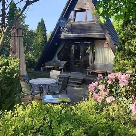 Nurdachhaus Mit Kaminofen Und Grossem Grundstueck Villa Faßberg Exteriör bild
