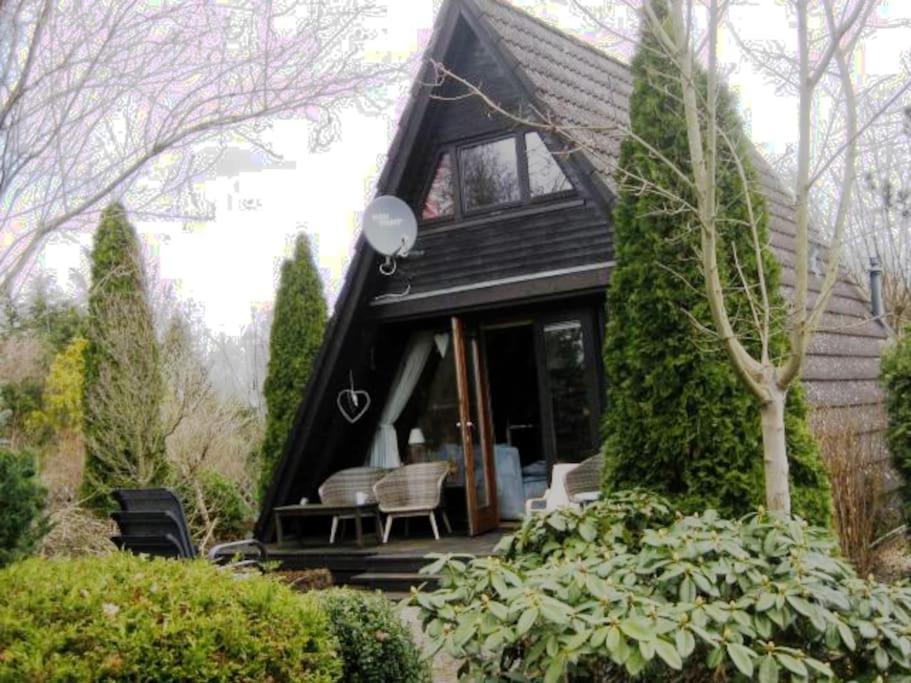 Nurdachhaus Mit Kaminofen Und Grossem Grundstueck Villa Faßberg Exteriör bild