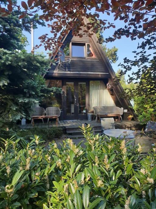 Nurdachhaus Mit Kaminofen Und Grossem Grundstueck Villa Faßberg Exteriör bild