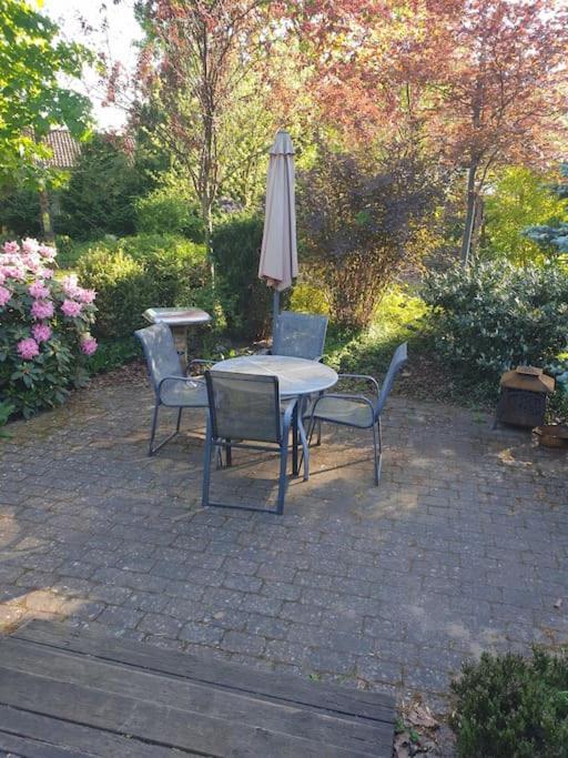 Nurdachhaus Mit Kaminofen Und Grossem Grundstueck Villa Faßberg Exteriör bild